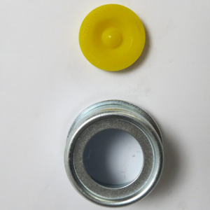 Axle Dust Cap and Seals