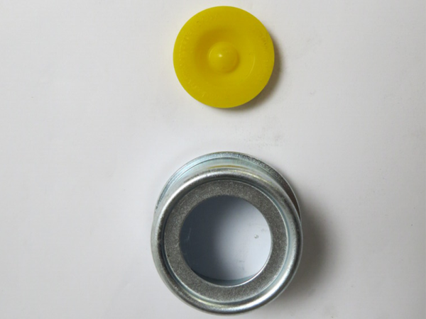 Axle Dust Cap and Seals